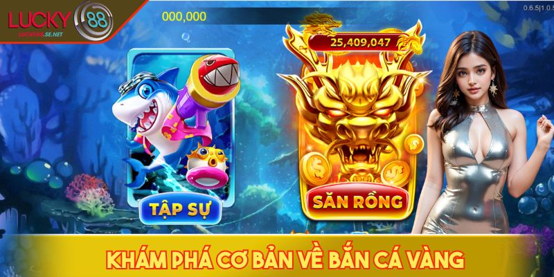 Khám phá cơ bản về bắn cá vàng