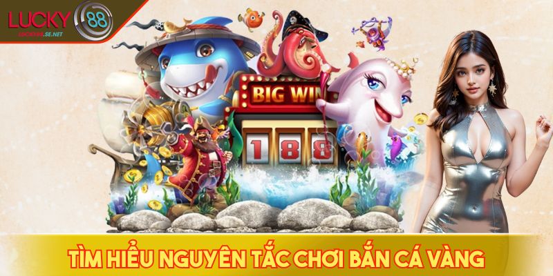 Tìm hiểu nguyên tắc chơi bắn cá vàng