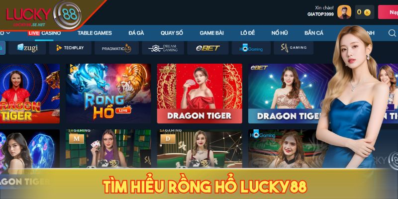 Tìm hiểu Rồng Hổ LUCKY88
